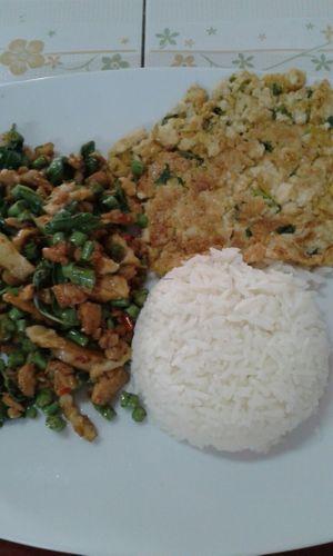 ผัดกระเพรายอดมะพร้าวอ่อน ไข่เจียวฟองเต้าหู้ at Chan-Pak in Bangkok