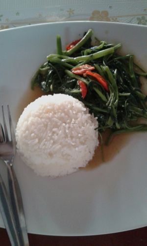 ผัดผักบุ้งราดข้าว at Chan-Pak in Bangkok