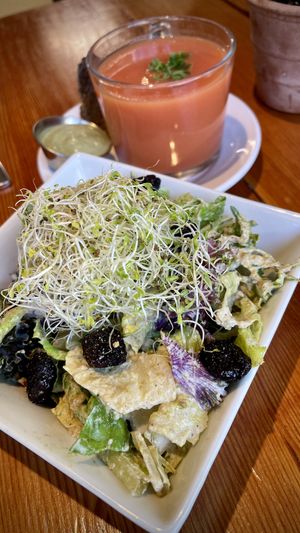 Kale Ceasar with amazing local olives   at Eternal Abundance in Vancouver