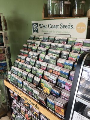 Seed!  at Eternal Abundance in Vancouver