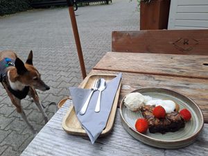 Brownie at Bindicafe in Amersfoort