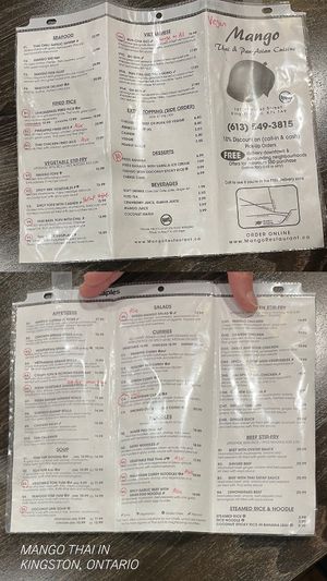 vegan menu at Mango Thai and Pan-Asian Cuisine  in Kingston