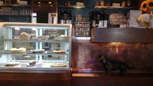 Counter at Nanoosh in Berlin