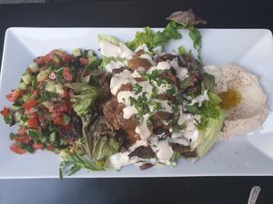 Hummus and mushroom plate at Nanoosh in Berlin