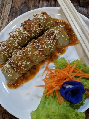 Spring rolls at La Carotte Qui Rit in Koh Tao