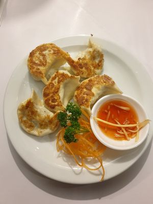Grilled dumplings $6.80 at Vegie Hut in Box Hill