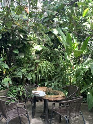 One of the many outdoor tables  at Soya Nutribar in San Salvador