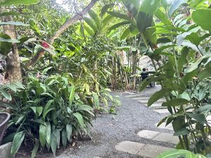 Seating area  at Soya Nutribar in San Salvador