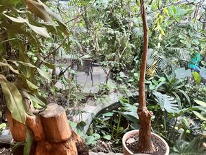 Seating area  at Soya Nutribar in San Salvador