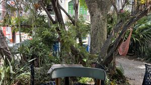   at Vegan Vegan in Rio De Janeiro