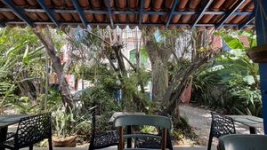   at Vegan Vegan in Rio De Janeiro