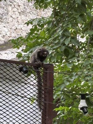   at Vegan Vegan in Rio De Janeiro