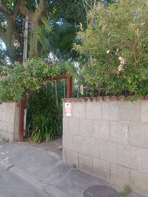  at Vegan Vegan in Rio De Janeiro