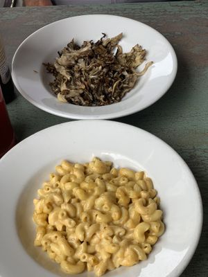 Mac n Chz app and Hen of the Woods App  at Veganized in New Brunswick