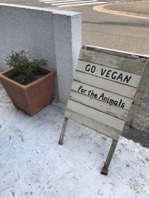   at Hiruneko Shokudou in Itoshima