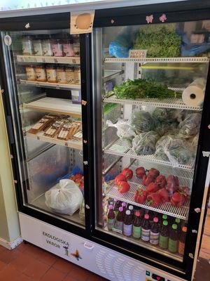 Store at Tant Gurka in Lund