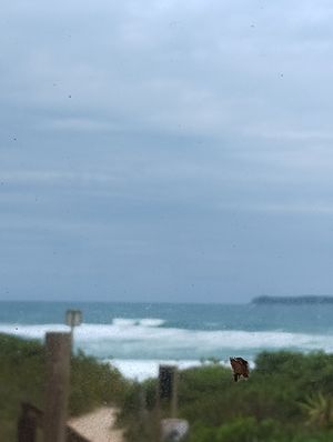 Stunning view of the Atlantic, and surf at Baruc Natural in Florianopolis