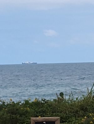 Our next meal on its  way south at Baruc Natural in Florianopolis