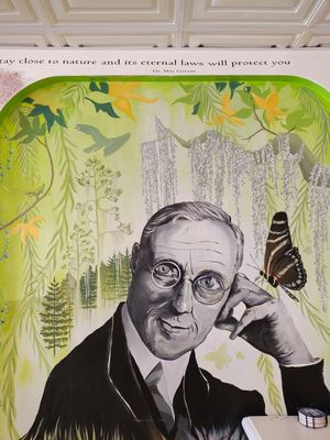 "Stay close to nature..." at Juicelation in Naples