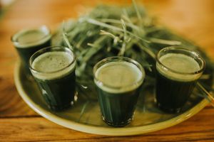 Made fresh to order organic wheatgrass shots! at Juicelation in Naples