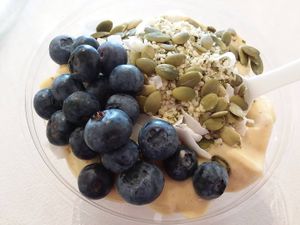 Tropical protein bowl (without granola) at Juicelation in Naples