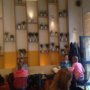 MVDF mais room at Mango Vegan Street Food - Bracka in Warsaw