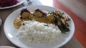 meal of the day at Veggie Garden in Prague