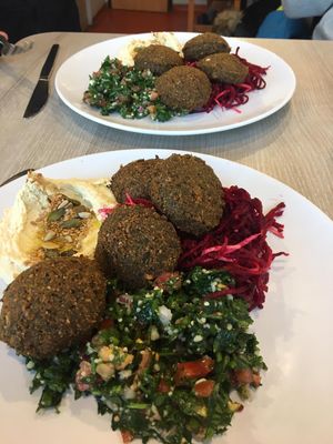 Falafel and hummus  at Veggie Garden in Prague