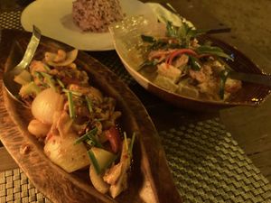 Tofu Panang curry and Mock meat chicken with cashew nut  at Rice Paddy in Koh Yao Noi