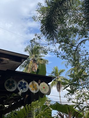 Garden  at Chaba Cafe and Gallery in Koh Yao Noi