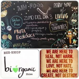 raw food, juice bar and wheatgrass shot section. at Biorganic in Ibiza
