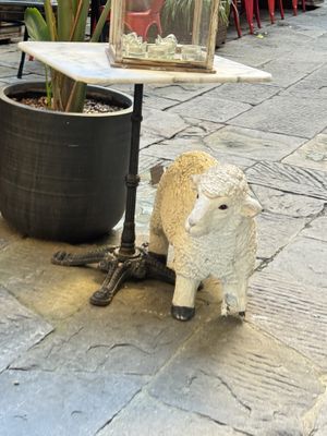   at Quinoa in Florence