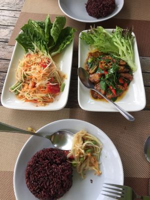 Day 1 at Veggie Homemade Aurra Ammie in Pak Chong