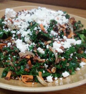 Sauteed Organic Red Quinoa, Shredded Beet and Carrot, Red Onion, Kale, Sunflower Seed & Feta at Lotus Lounge in Ogden