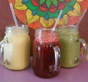 Raw Juice and Natural Smoothies at Lotus Lounge in Ogden
