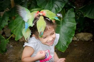 THE BEST OF AMALUNA at Amaluna Restaurant & Lab in Punta Cana