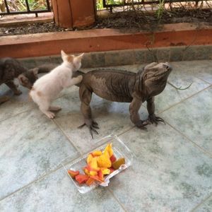 OUR FRIENDS! at Amaluna Restaurant & Lab in Punta Cana