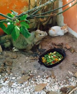 FRIENDS FOR EVER! at Amaluna Restaurant & Lab in Punta Cana