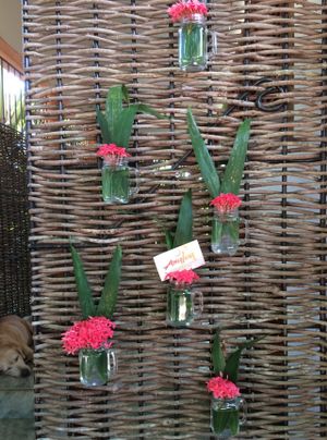 Details....
 at Amaluna Restaurant & Lab in Punta Cana