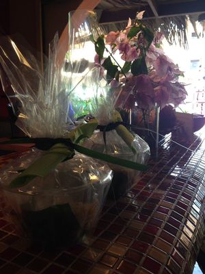 Buddha bowl take out at Amaluna Restaurant & Lab in Punta Cana