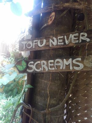 Happy Tofu at Amaluna Restaurant & Lab in Punta Cana