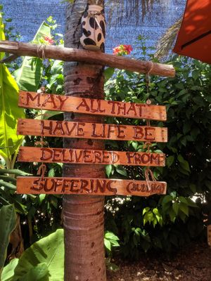 Cool vibe at Amaluna Restaurant & Lab in Punta Cana