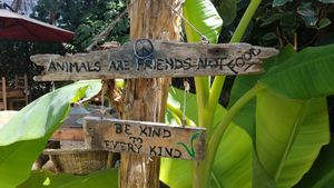 True! at Amaluna Restaurant & Lab in Punta Cana