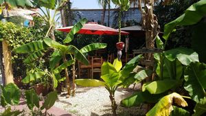 Nice atmosphere! at Amaluna Restaurant & Lab in Punta Cana