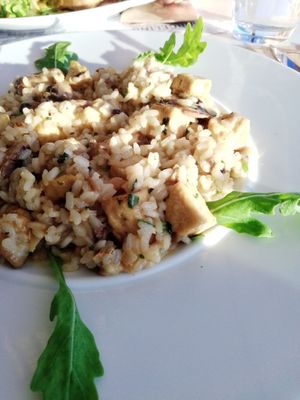 Risotto de Tofu e Cogumelos at Marcelino Beach Club in Costa Da Caparica