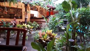 Garden at Pita Pita in El Pizzaiole in Granada