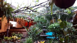 Garden at Pita Pita in El Pizzaiole in Granada