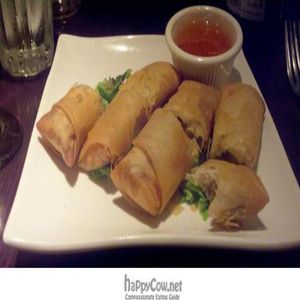 fried spring rolls with sauce at Vegetarian's Paradise 2 in New York City