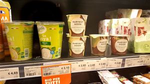 Vegan yogurt at NaturaSi in Caserta