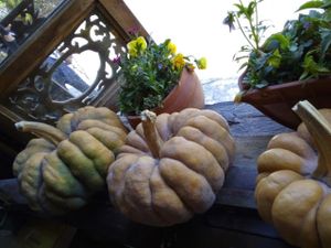 中国云南丽江古镇梵缘素心斋 at Pure Peace Vegetarian Place in Lijiang